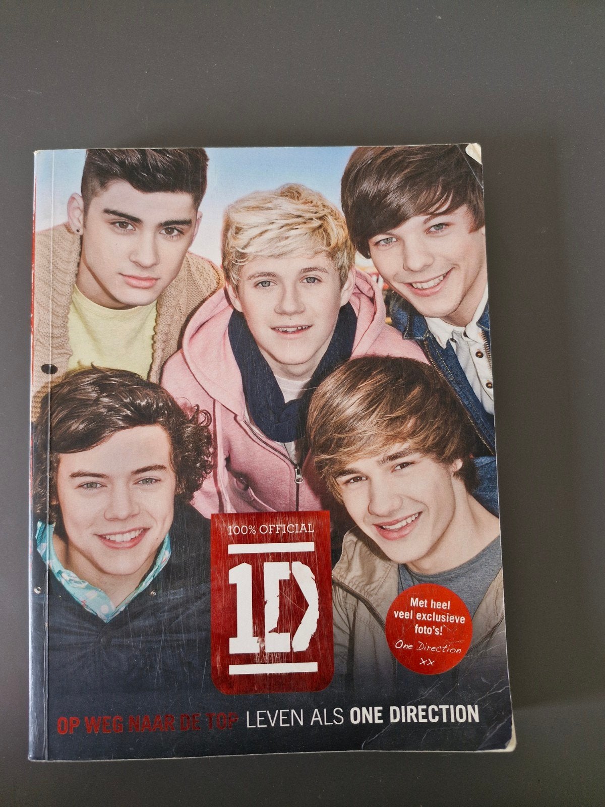 One Direction Boek: Op Weg Naar De Top - Leven Als 1D, Ophalen of Verzenden, Gelezen, Artiest, One Direction