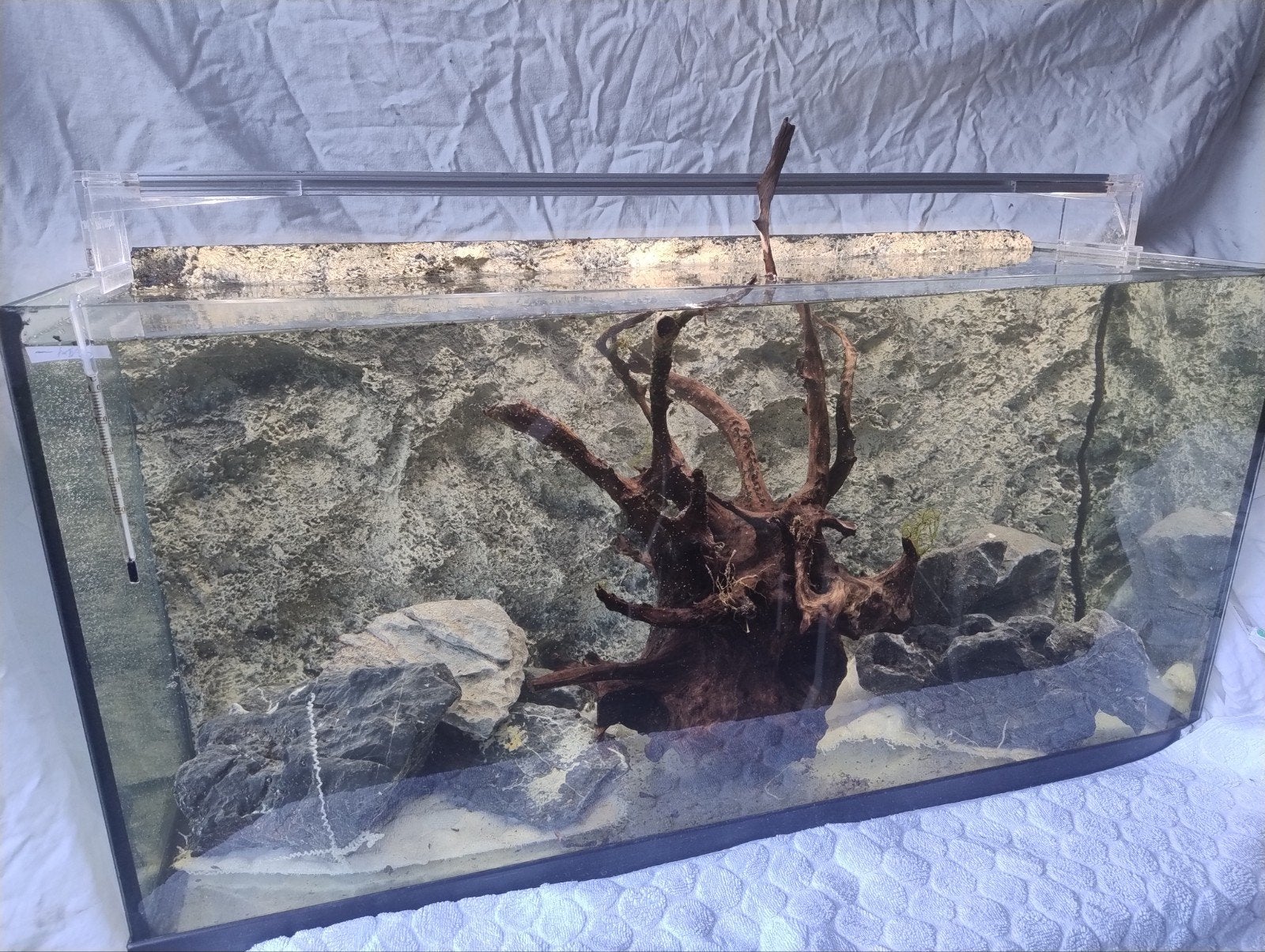 Aquarium, Ophalen, Gebruikt, Leeg aquarium