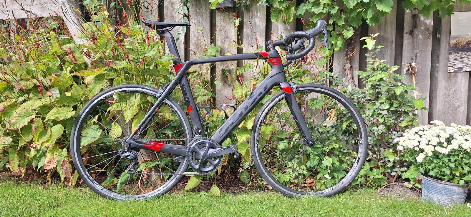 Sensa Giulia Evo Volledig Ultegra Racefiets, mt58, Carbon, Heren, 57 tot 61 cm, Meer dan 20 versnellingen
