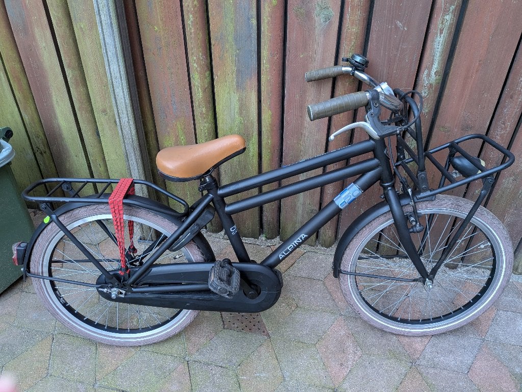 Alpina Cargo 20#, Fietsen en Brommers, Ophalen, Alpina, Zo goed als nieuw, Terugtraprem