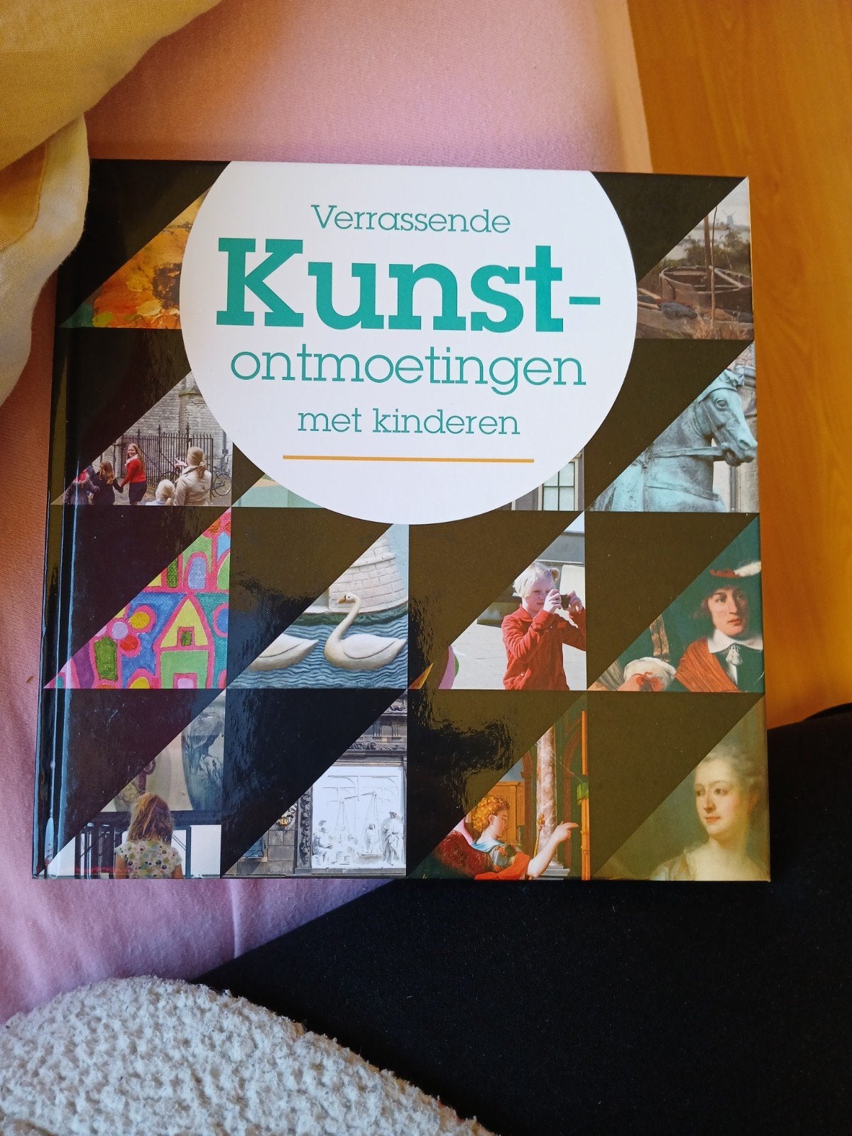 studieboek verrassende kunstontmoetingen, Boeken, Ophalen of Verzenden