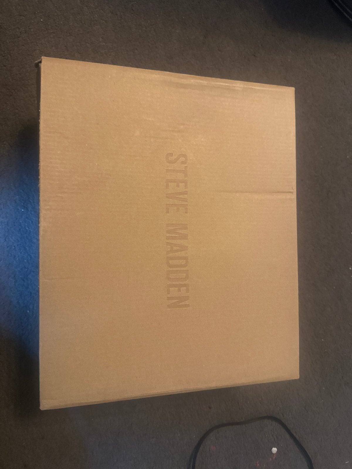 Steve Madden Sneakers Maat 38 - Nieuw in Doos, Kleding | Dames, Schoenen, Beige, Nieuw, Ophalen of Verzenden, Sneakers of Gympen