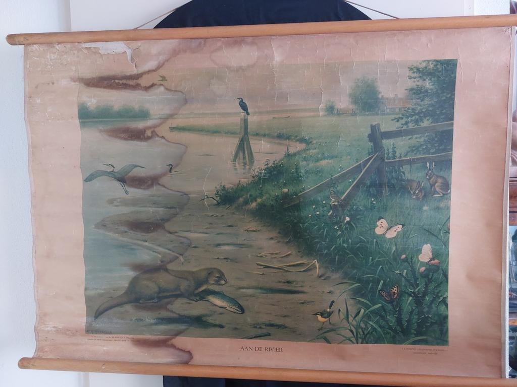 Vintage Schoolplaat "Aan de Rivier" - J.B. Wolters, Antiek en Kunst, Antiek | Schoolplaten, Ophalen of Verzenden, Natuur en Biologie