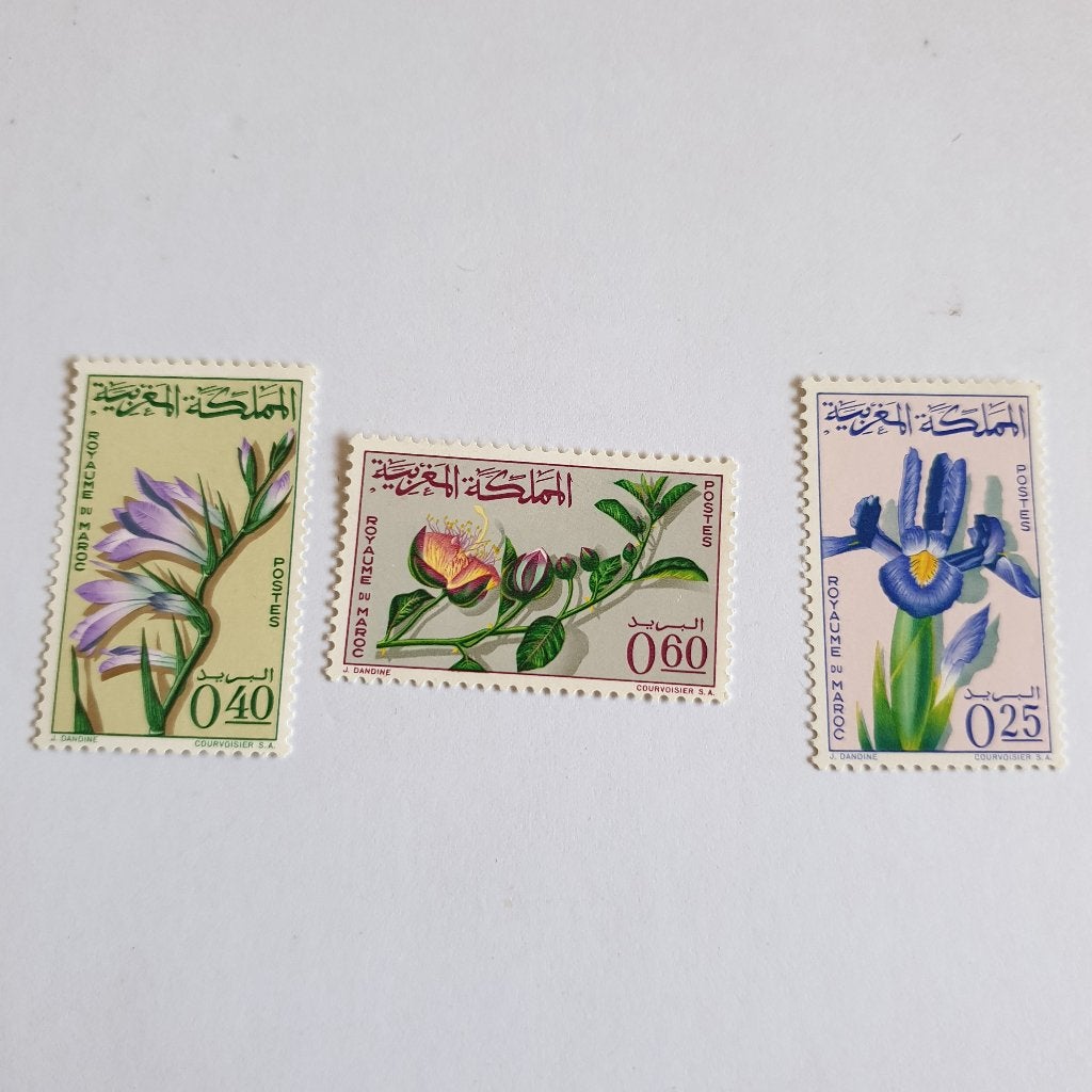 2174 marokko woestijnbloemen, Verzenden, Marokko