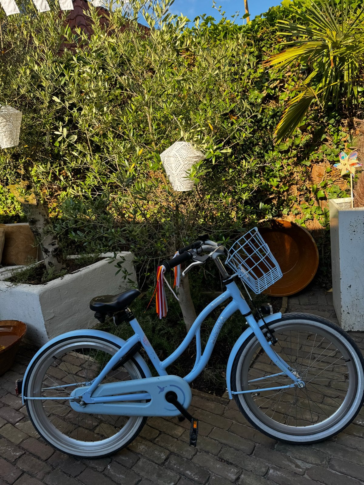 Alpina Ocean meisjesfiets 22 inch - Rijklaar!, Ophalen, Gebruikt, 22 inch