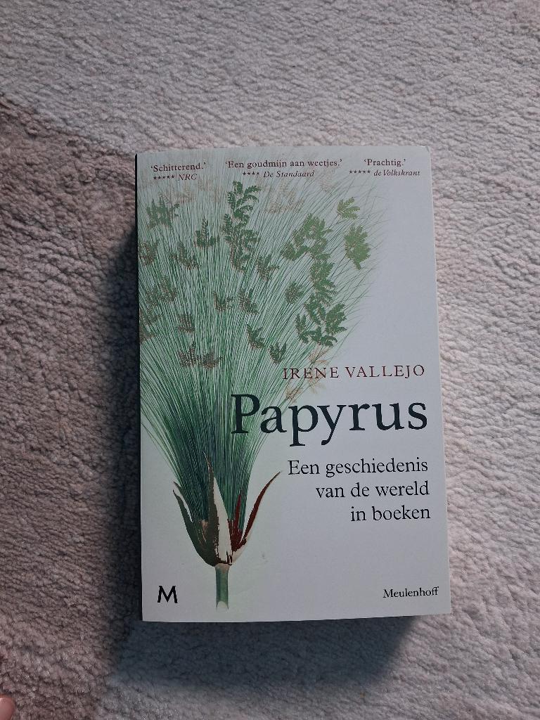 Irene Vallejo Papyrus, Ophalen of Verzenden, Nieuw, Europa