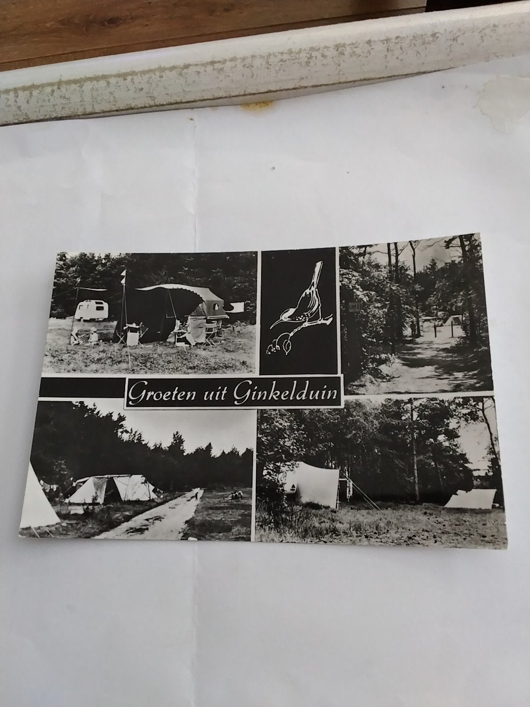 Oude ansichtkaart Groeten uit Ginkelduin (1960-1980), Verzamelen, Ansichtkaarten | Nederland, Ophalen of Verzenden, 1960 tot 1980