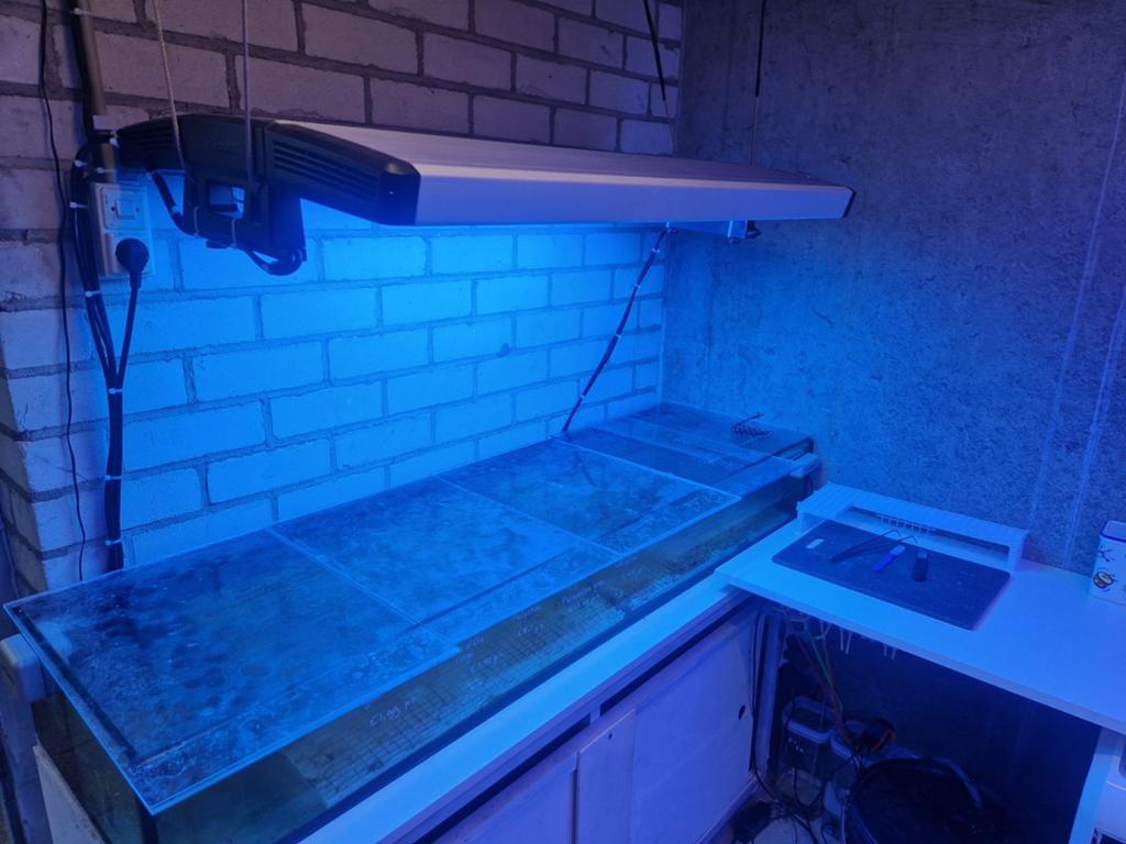 Stekkenbak, Dieren en Toebehoren, Ophalen, Gebruikt, Leeg aquarium