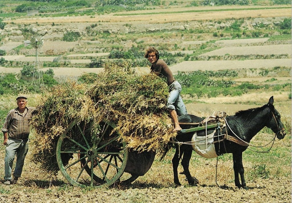 Farmers Stacking Hay on Cart 443, Ophalen of Verzenden, 1980 tot heden, Ongelopen, Paard