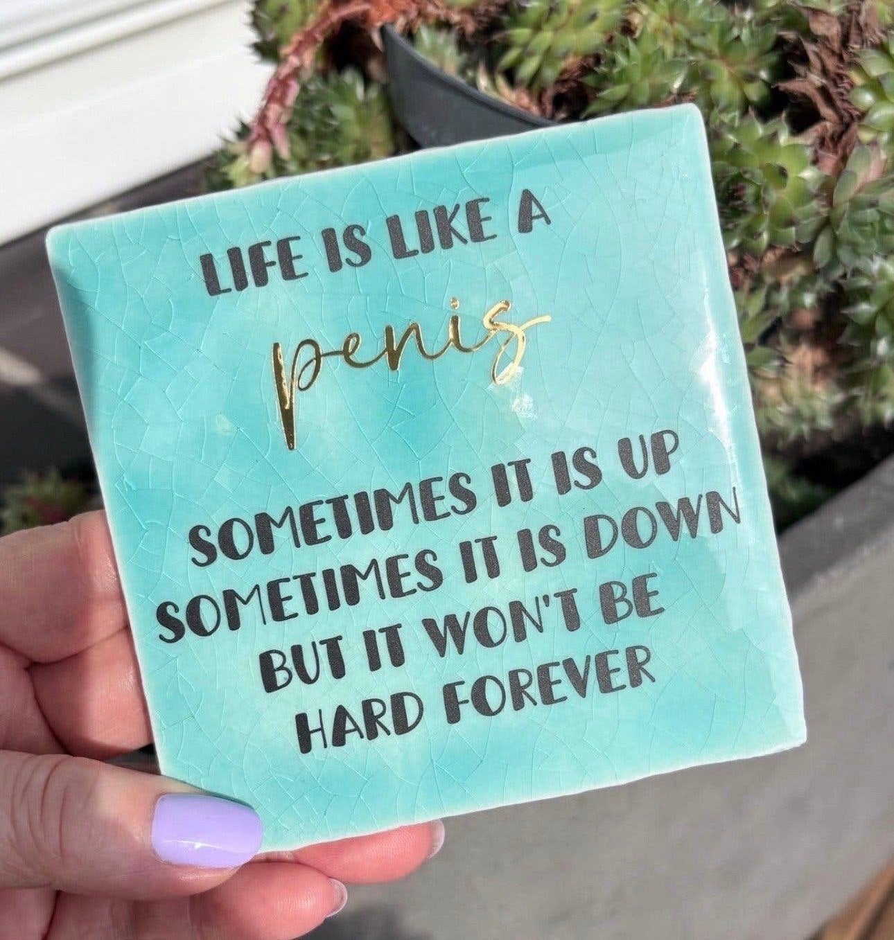 Grappig tegeltje met spreuk - "Life is like a penis", Inclusief standaard, Verzenden, Nieuw, 10 cm