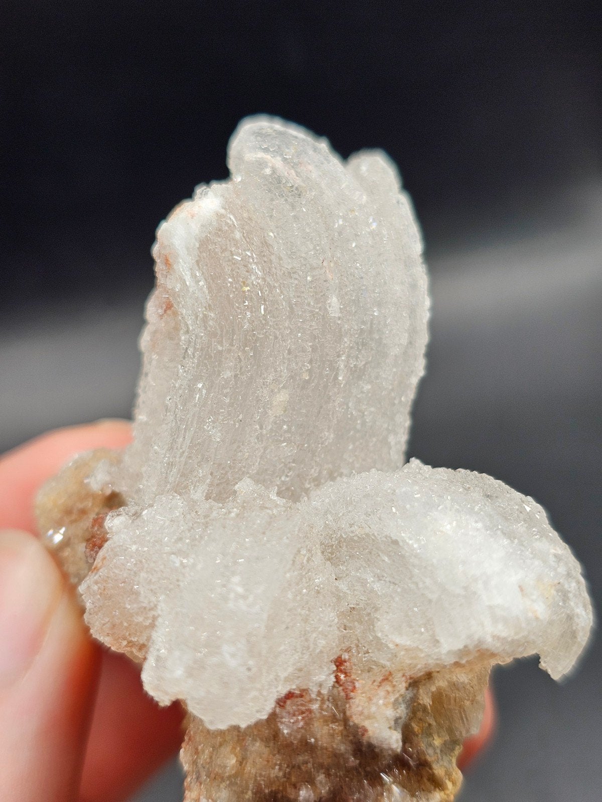 Ramshorn Seleniet - Uniek Mineraal Exemplaar, Verzamelen, Ophalen of Verzenden, Mineraal