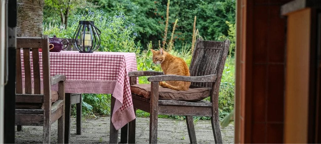 Gezocht huishoudelijke hulp