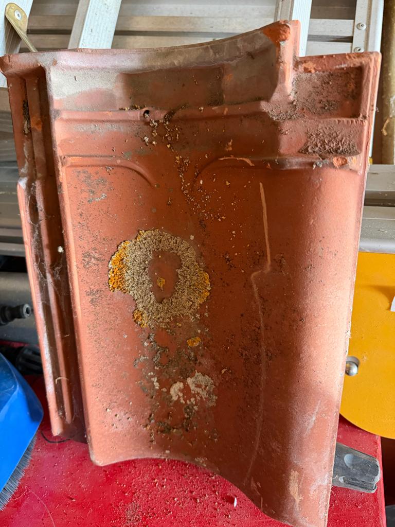 Koramic Narvik Dakpan - Made in Holland, Doe-het-zelf en Verbouw, Dakpannen en Dakbedekking, Ophalen, Gebruikt, Steen of Klei