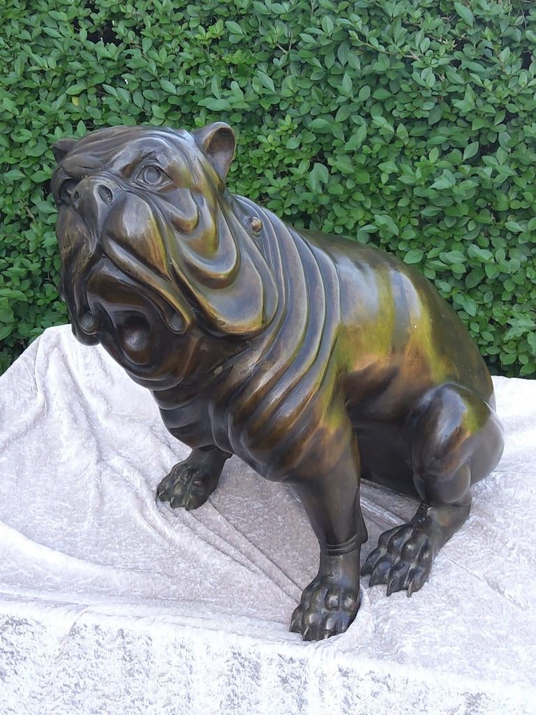 Groot Bronzen beeld van een Buldog., Dieren en Toebehoren, Honden | Bulldogs, Pinschers en Molossers, 6 jaar of ouder, Particulier