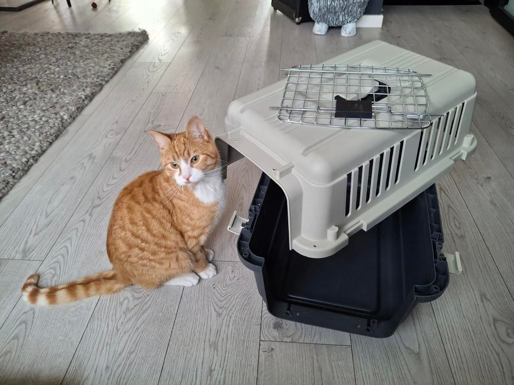 Reiskennel, transport box, Flamingo Nomad S, Ophalen, Zo goed als nieuw