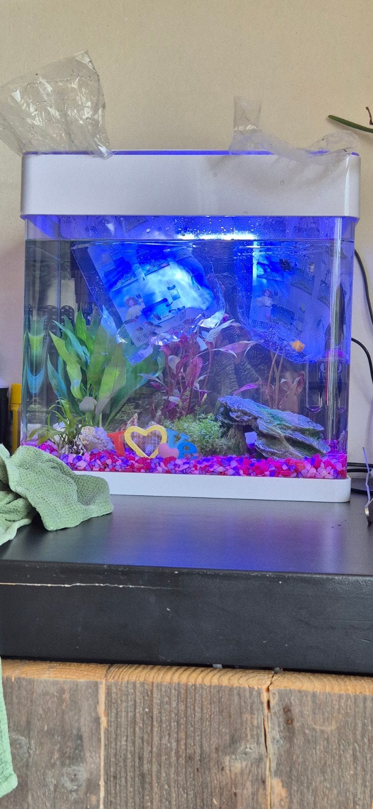superfish panorama 35, Ophalen, Zo goed als nieuw, Leeg aquarium, Superfish