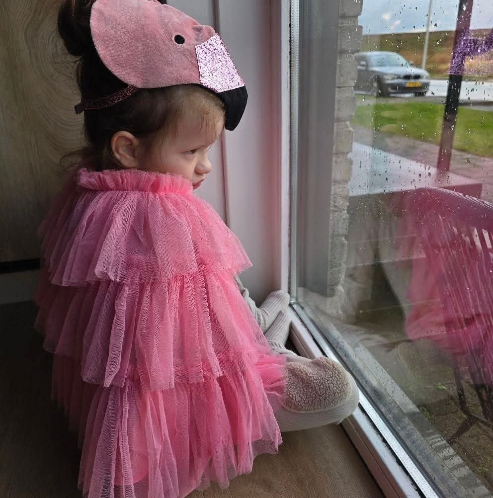 Meri Meri Flamingo Kostuum, Ophalen of Verzenden, Zo goed als nieuw, 110 t/m 116, Meisje