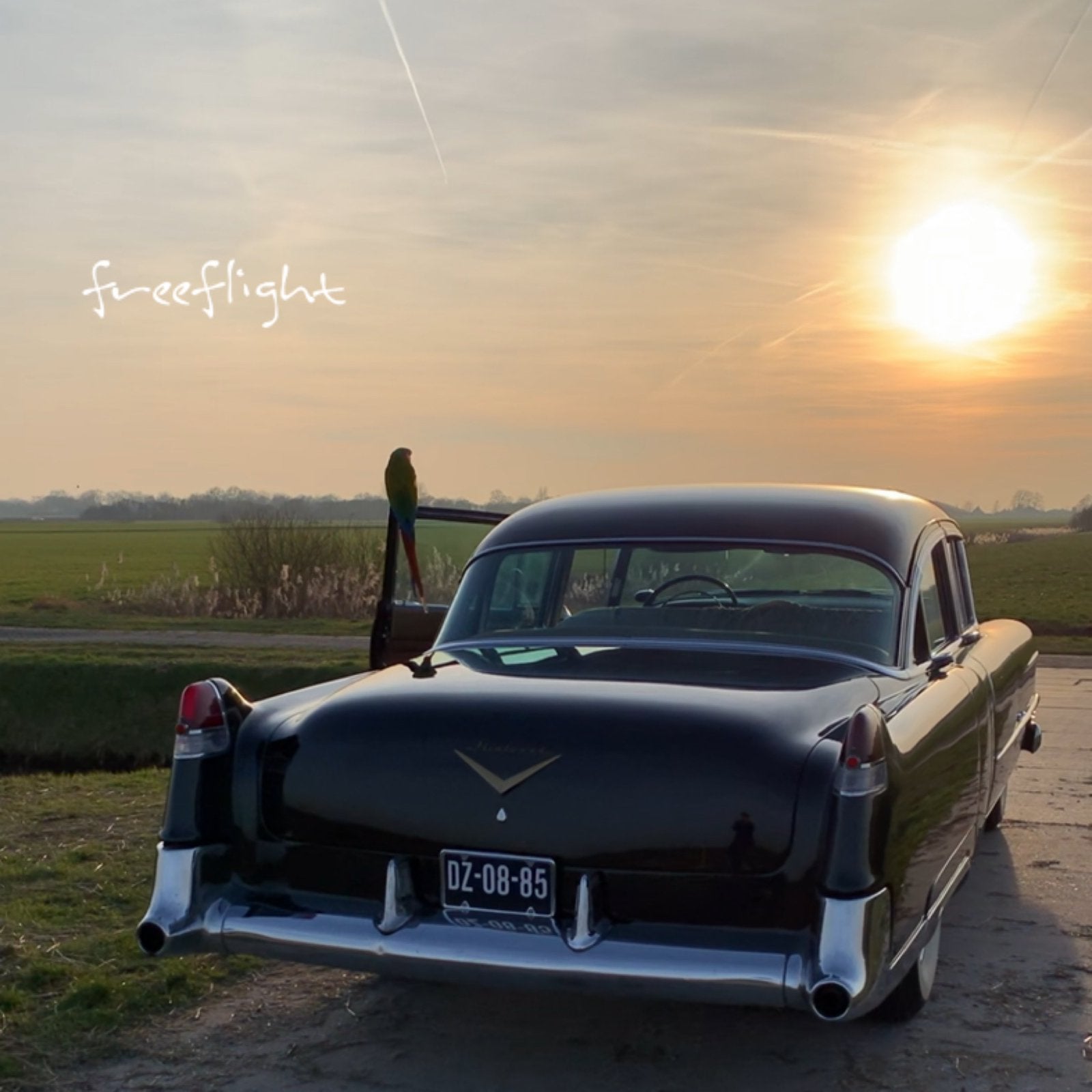 Cadillac Fleetwood 60 Special 1954, foto 10