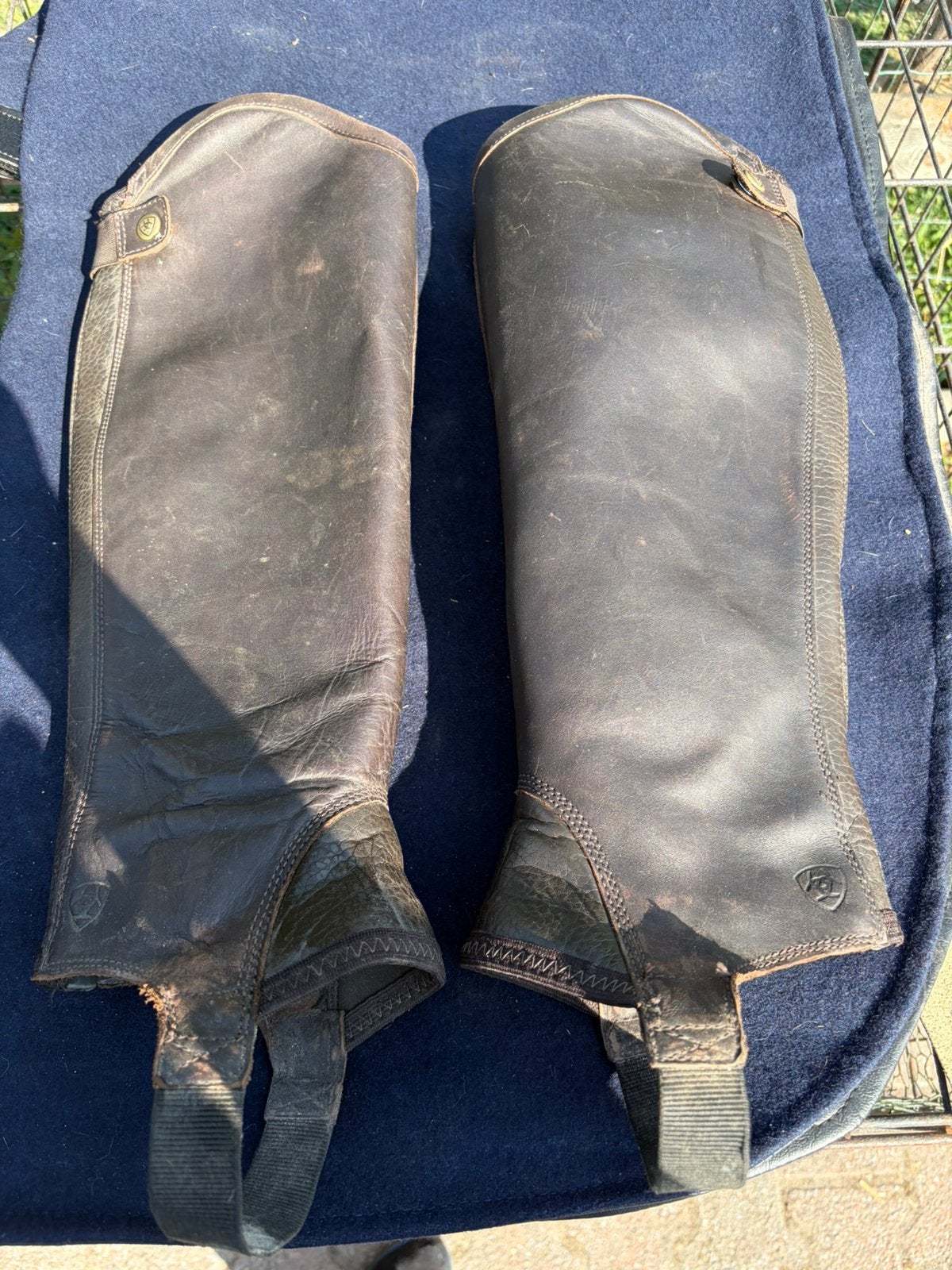Bruine Ariat chaps maat L, Ophalen, Gebruikt