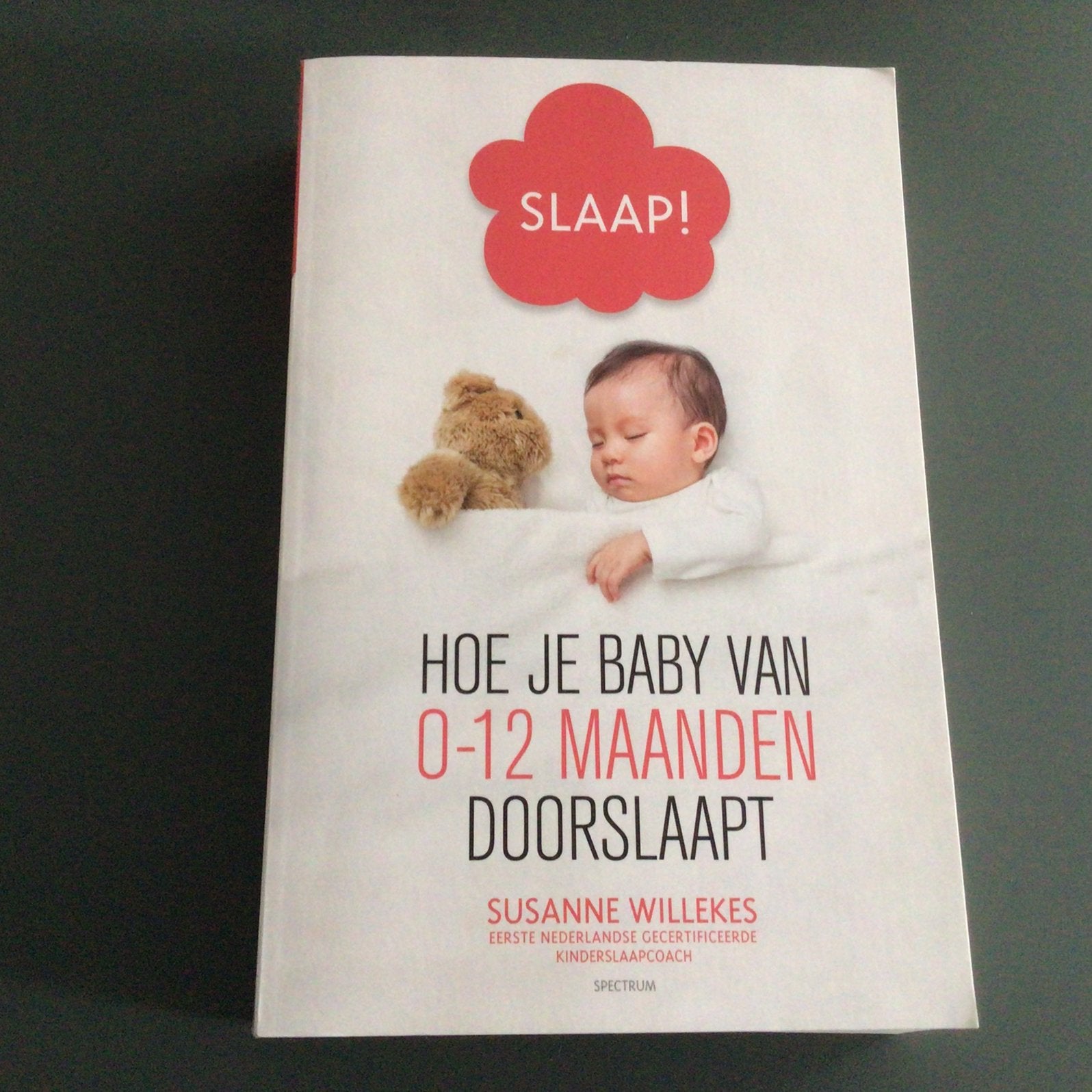 Susanne Willekes - Slaap!, Susanne Willekes, Ophalen of Verzenden, Zo goed als nieuw, Opvoeding tot 6 jaar