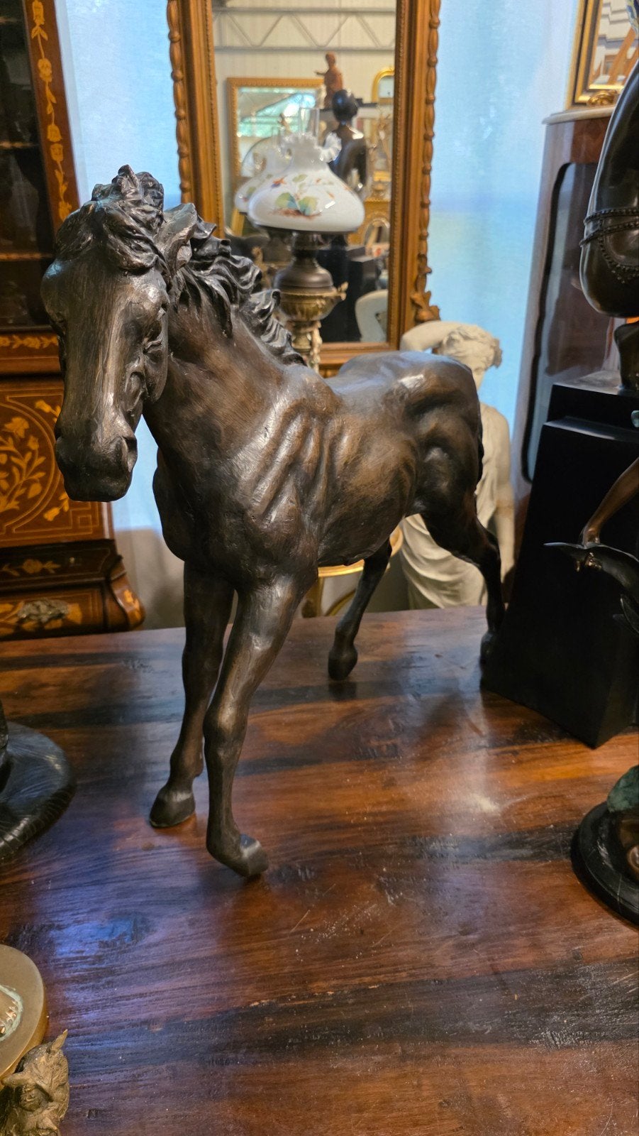 groot bronzen pasrd, Ophalen