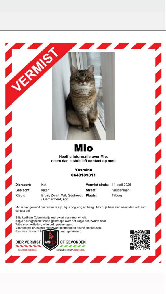 VERMISTE KAT, Kat