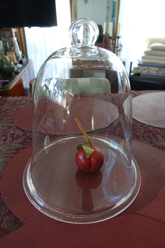 glazen stolp / cloche, Ophalen, 30 cm, Met deksel, Zo goed als nieuw