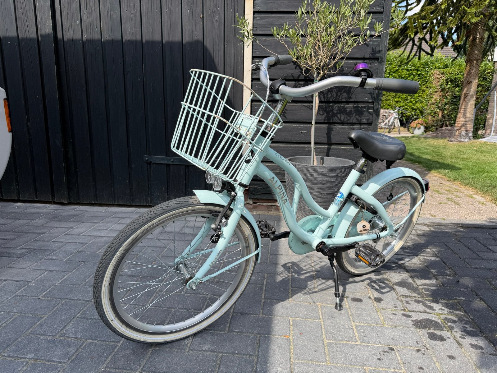 Alpina Ocean kinderfiets 20 inch met mandje, Ophalen, Terugtraprem, Gebruikt, Handrem