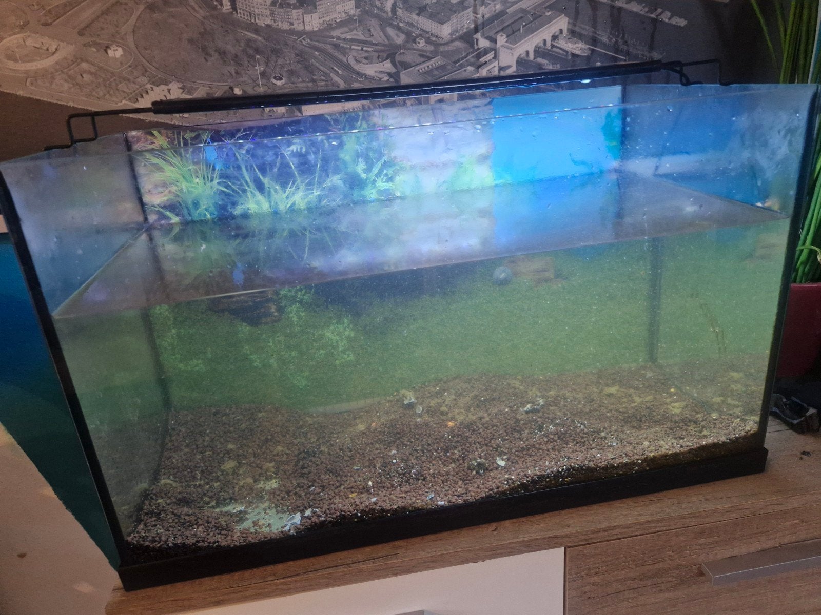 aquarium juwel 60x30 met toebehoor /led, Ophalen of Verzenden, Inclusief toebehoren, Filter, Juwel