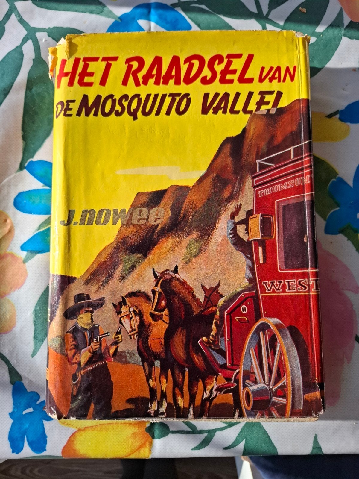 Arendsoog: het raadsel van de Mosquito vallei, Ophalen of Verzenden, Gelezen, J. Nowee