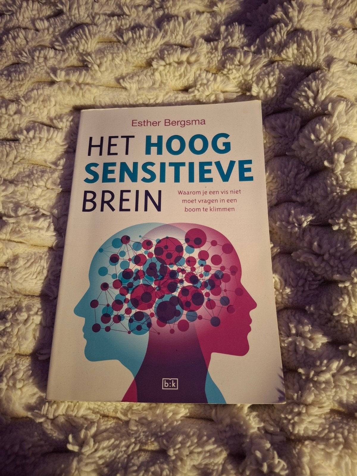 Het Hoog Sensitieve Brein - Esther Bergsma, Boeken, Ophalen of Verzenden