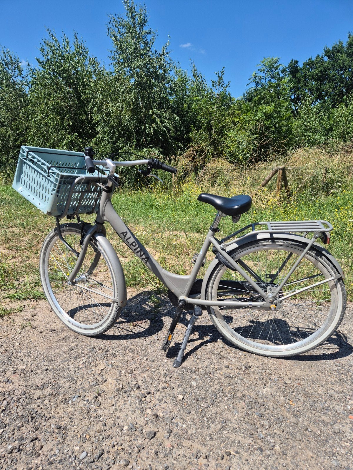 Alpina meisjesfiets 26 inch, Minder dan 47 cm, Ophalen, Gebruikt, Versnellingen