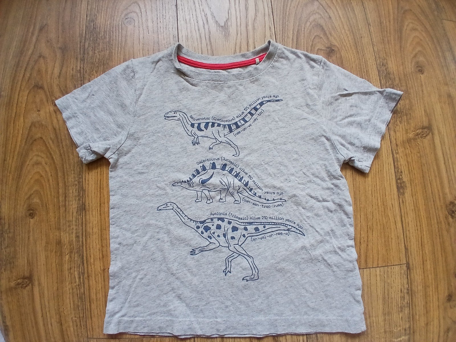 Kite organic clothing, t-shirt met dino's, biologisch katoen, Kite clothing, Gebruikt, Jongen of Meisje, Ophalen of Verzenden