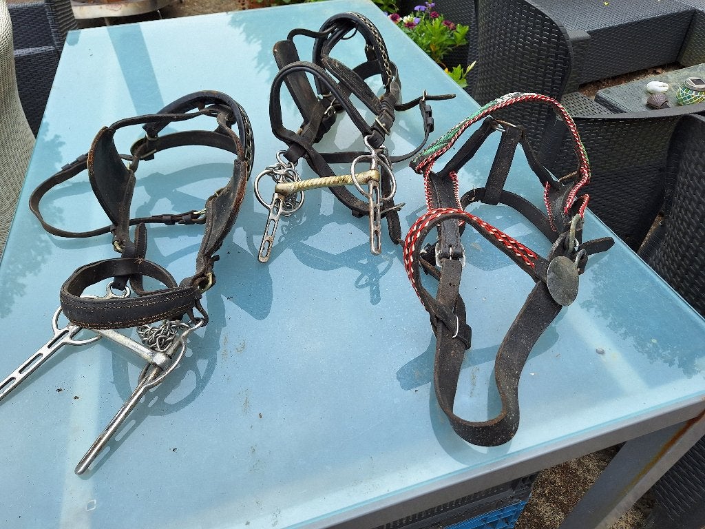 3x paarden / pony halster, Dieren en Toebehoren, Ophalen of Verzenden, Gebruikt