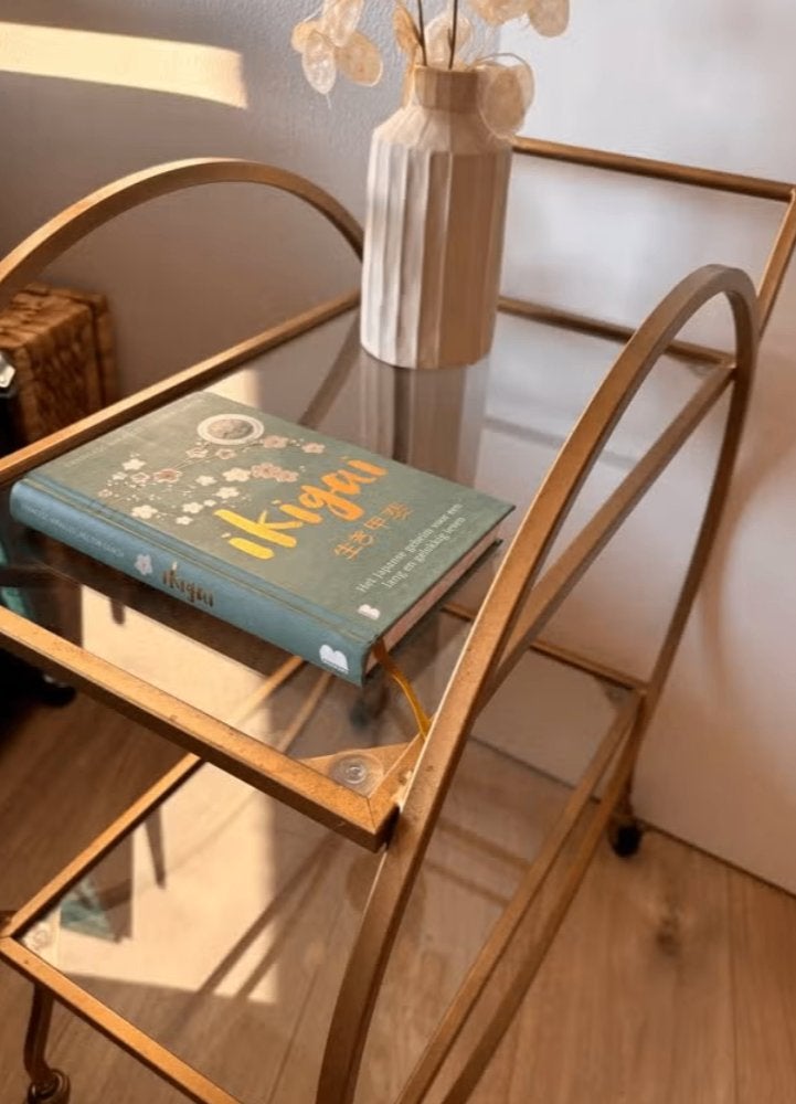 Bijzettafel met wieltjes, Huis en Inrichting, Tafels | Bijzettafels, Minder dan 55 cm, Metaal of Aluminium, Rond, Ophalen