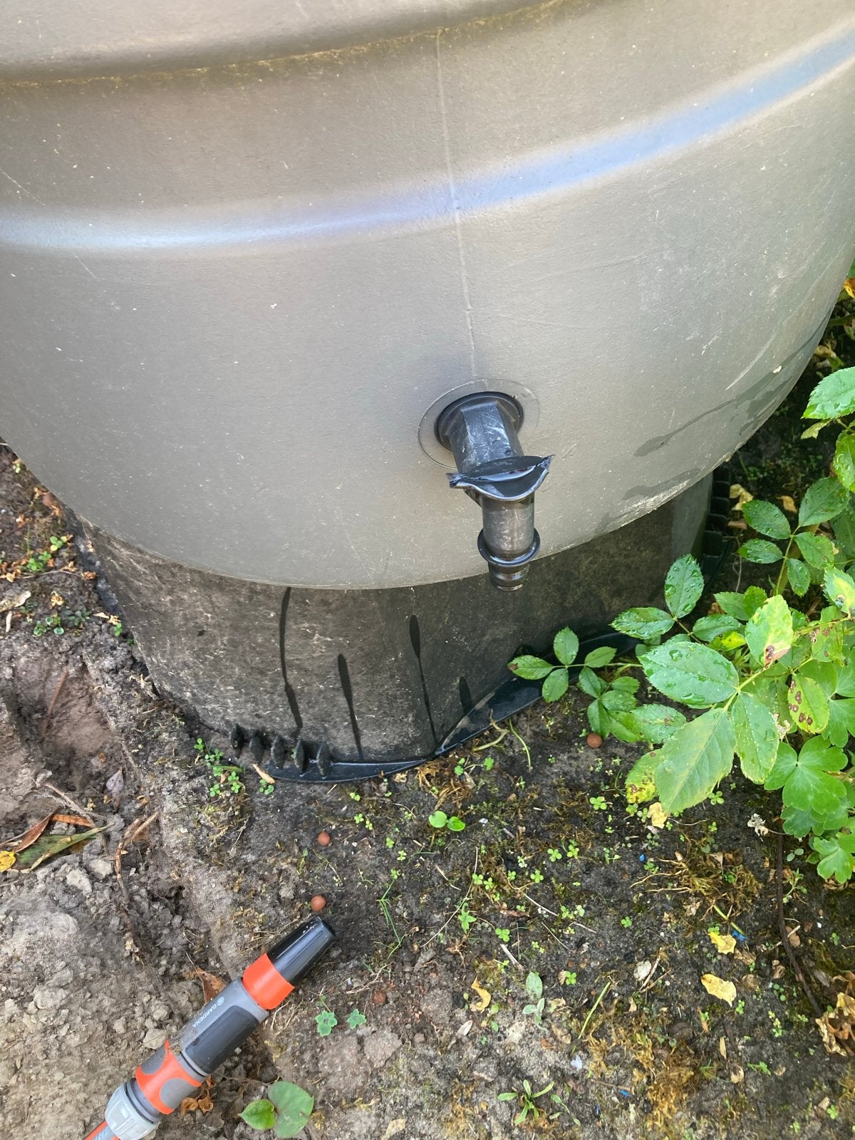 Gratis regenton, Tuin en Terras, Regentonnen, 150 liter of meer, Ophalen, Gebruikt