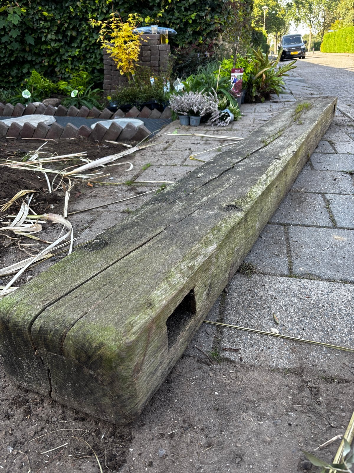Gratis: Robuuste houten balk biels - Ideaal voor tuin, Ophalen, Gebruikt, Eiken, 250 tot 300 cm