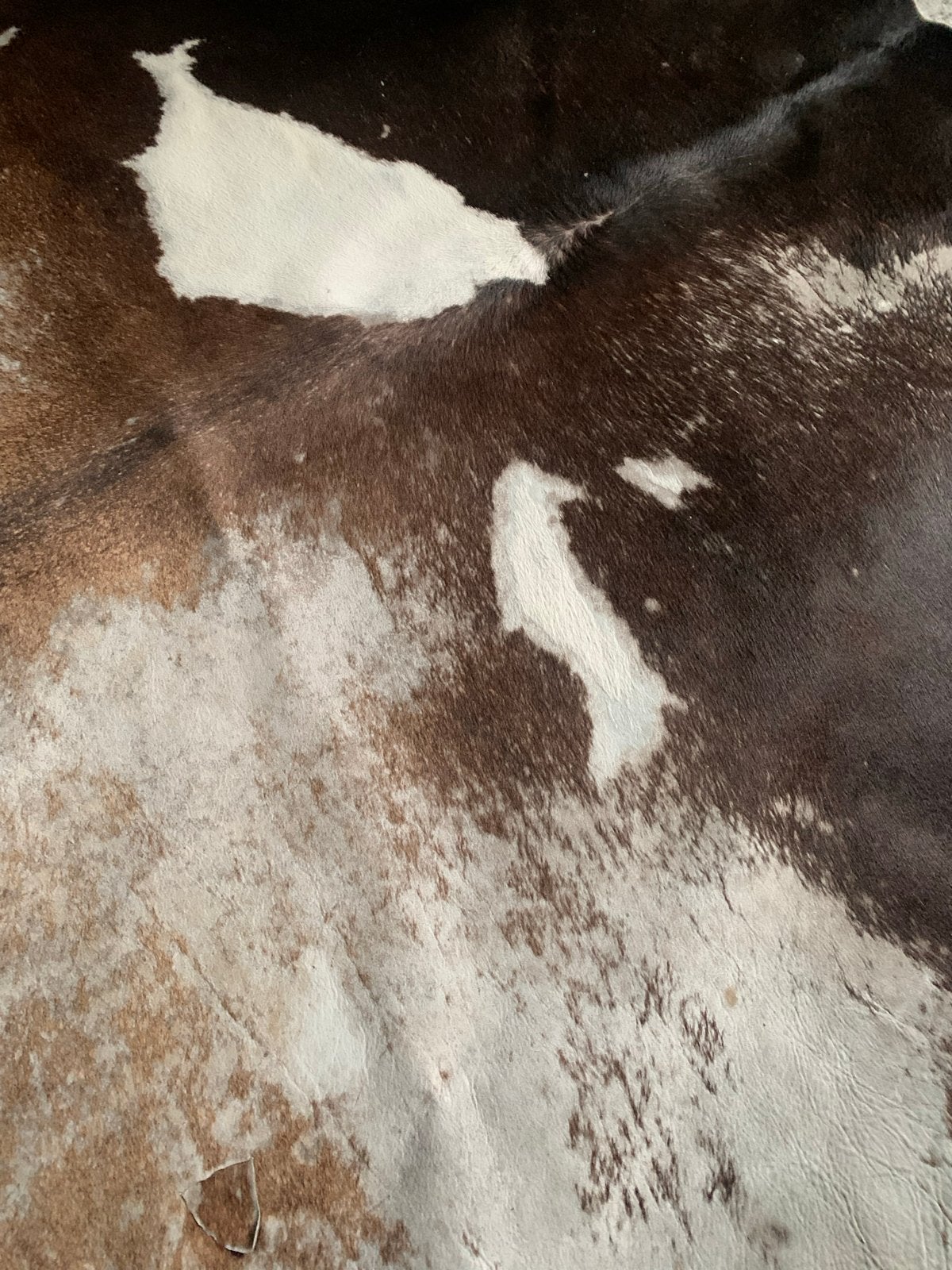 Prachtig Koeienhuid Vloerkleed - 220x200 cm, Gebruikt, Bruin, Ophalen of Verzenden, 200 cm of meer