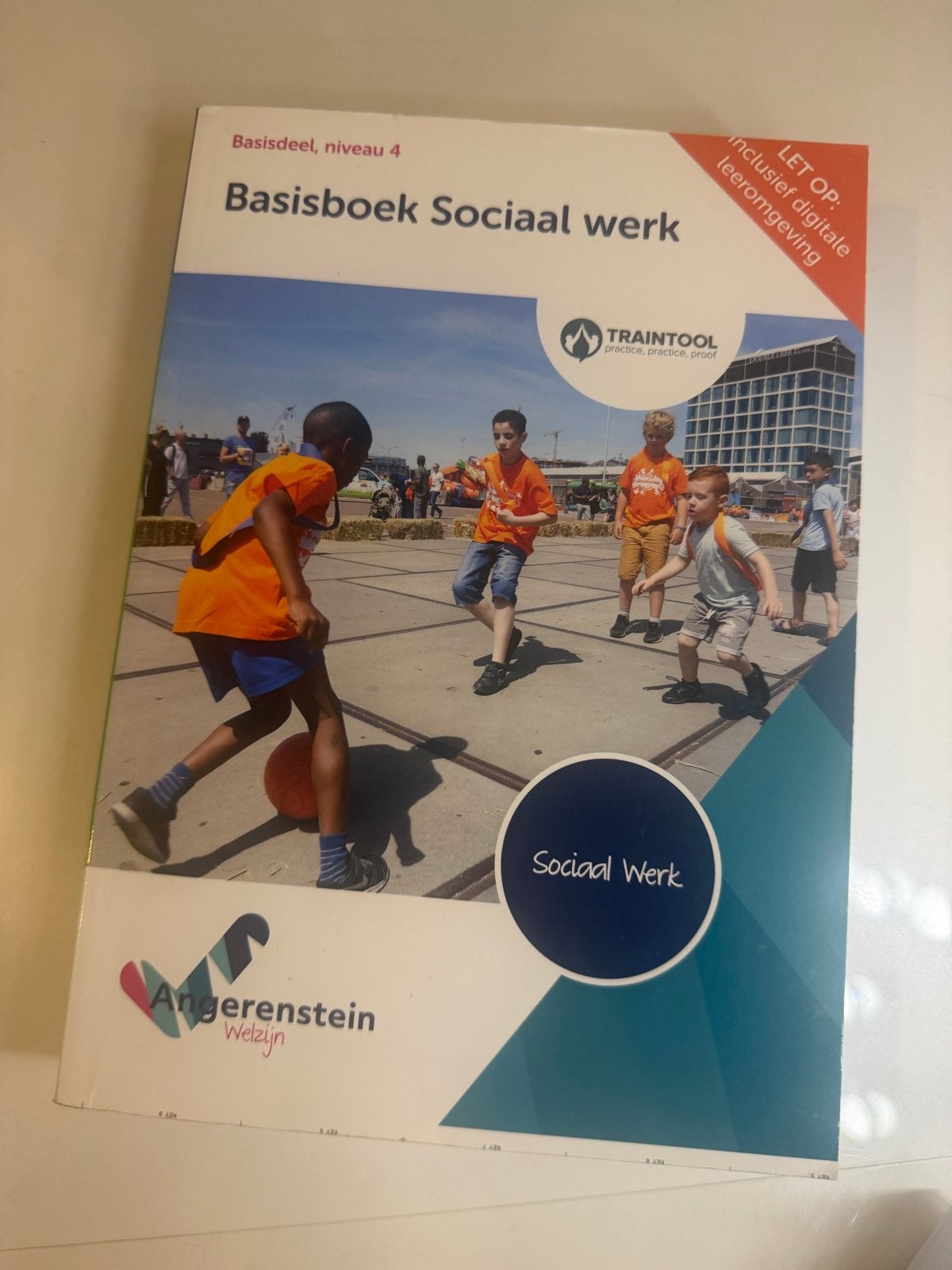 Basisboek Sociaal werk - Niveau 4 (Angerenstein Welzijn), Boeken, Ophalen of Verzenden, Gamma, Zo goed als nieuw, MBO