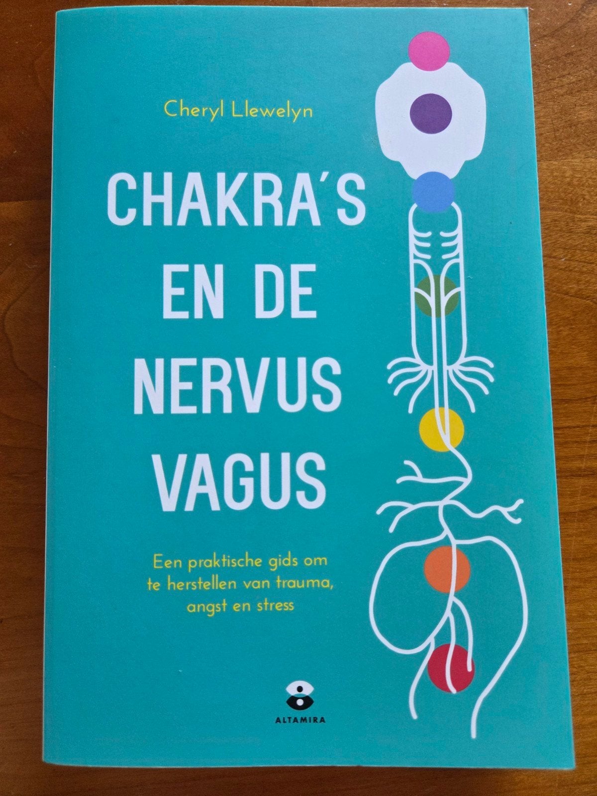 Cheryl Llewelyn - Chakra's en de nervus vagus, Boeken, Achtergrond en Informatie, Spiritualiteit algemeen, Ophalen of Verzenden