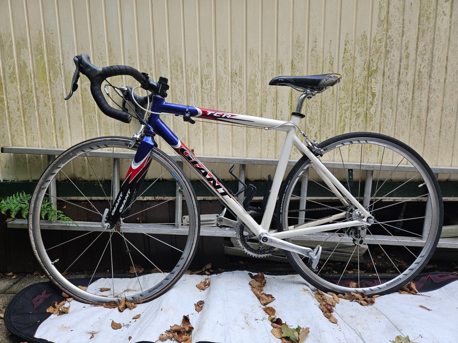 Giant TCR racefiets - Gebruikt, Ophalen, 28 inch, Gebruikt, Aluminium
