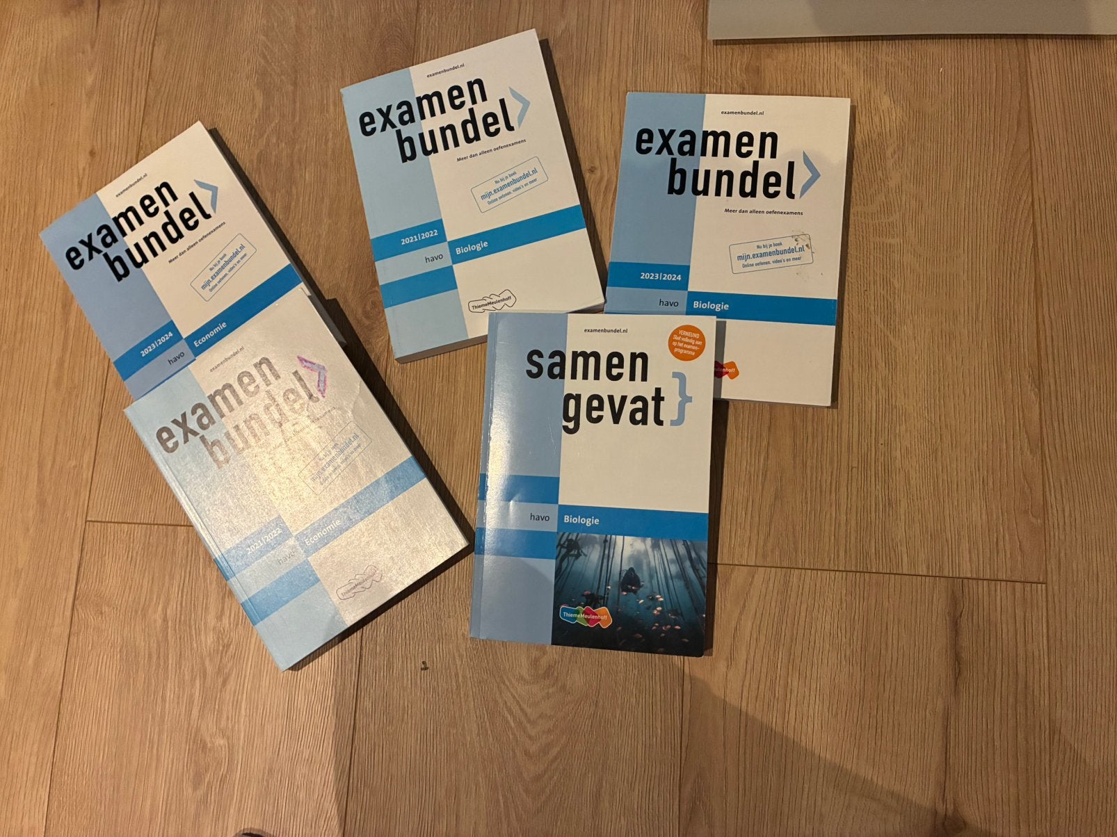 Examenbundels en Samengevat boeken HAVO Bio, Eco en Ges, Boeken, Schoolboeken, Ophalen of Verzenden, Zo goed als nieuw, HAVO, Economie