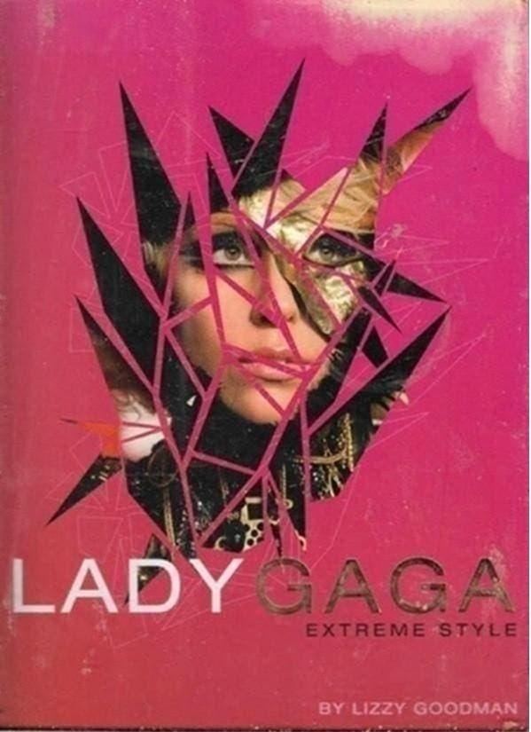 Lizzy Goodman Lady Gaga (Engels), Boeken, Ophalen of Verzenden, Zo goed als nieuw, Artiest
