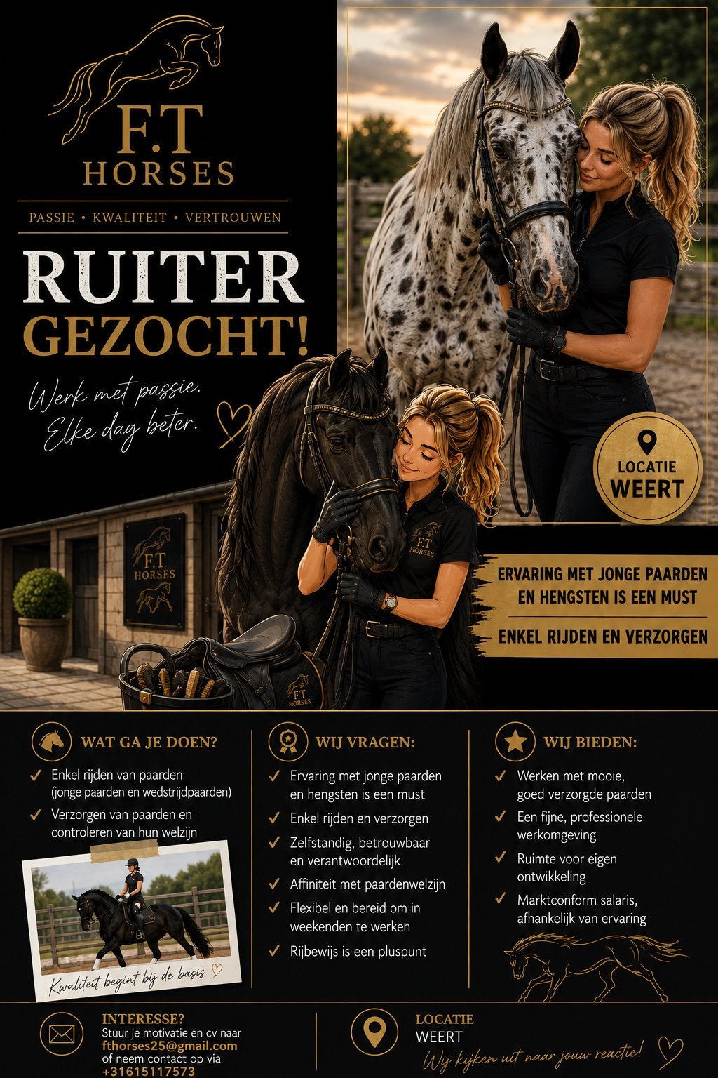 Ruiter gezocht, E pony (1.48m - 1.57m), Zadelmak, 3 tot 6 jaar, Gechipt