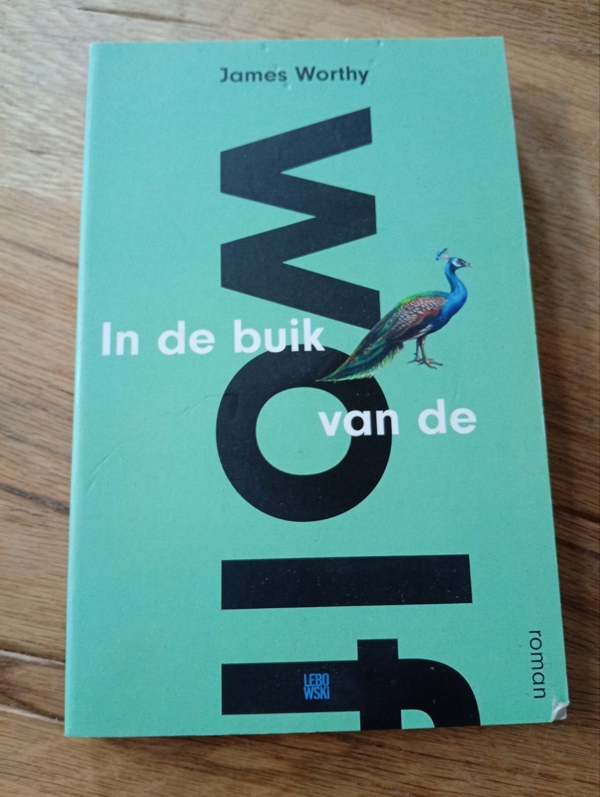 In de buik van de walvis - James Worthy (roman), James Worthy, Ophalen of Verzenden, Zo goed als nieuw, Nederland