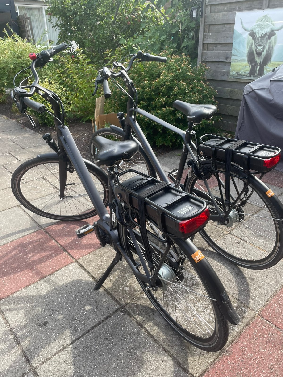 Batavus Bryte e-bikes heren 57 dames 53   prijs is per stuk, Fietsen en Brommers, 55 tot 59 cm, Ophalen, Zo goed als nieuw, Batavus