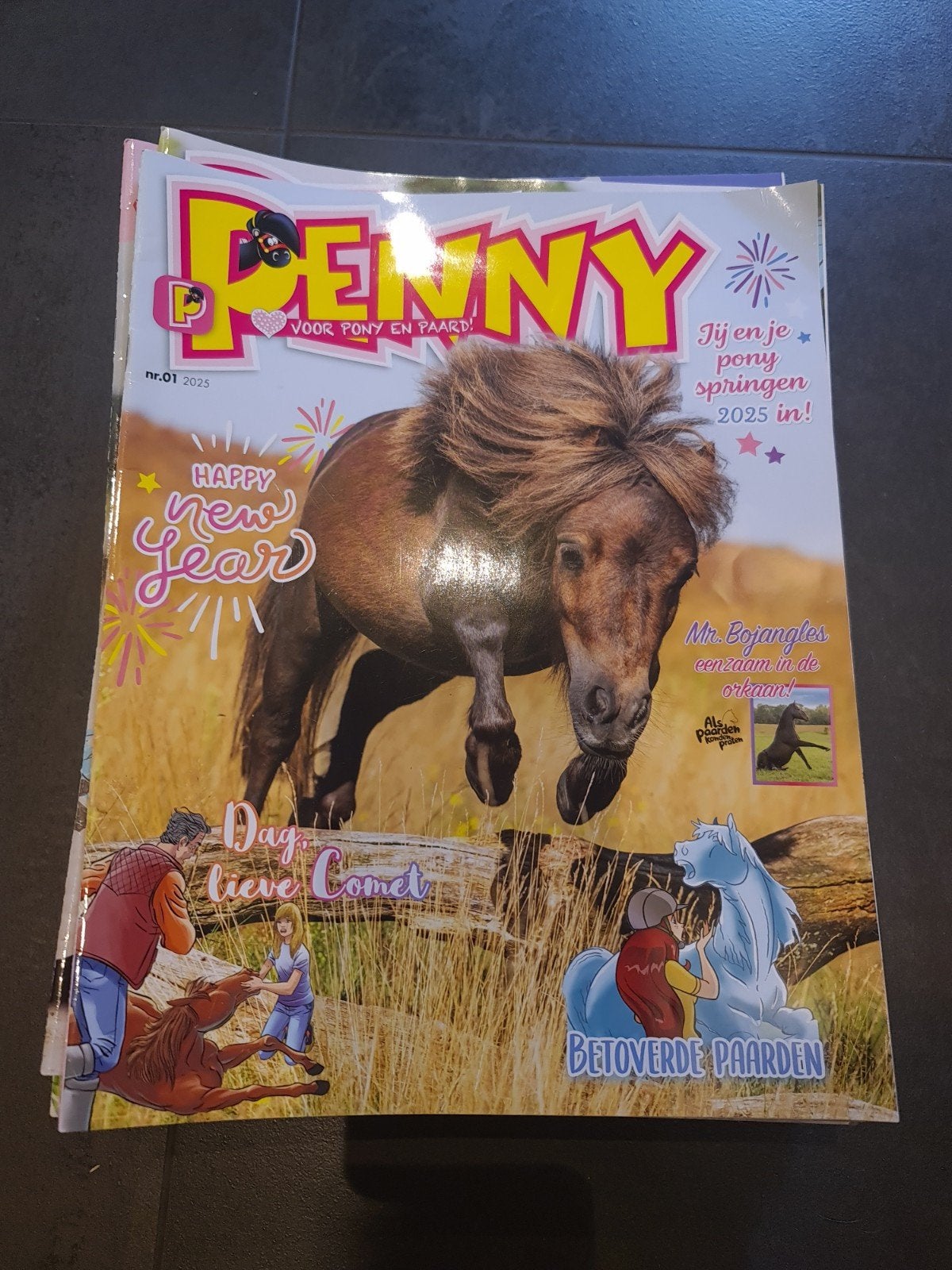 Penny Tijdschriften  jaargang 2025, Ophalen, Gelezen, Overige typen