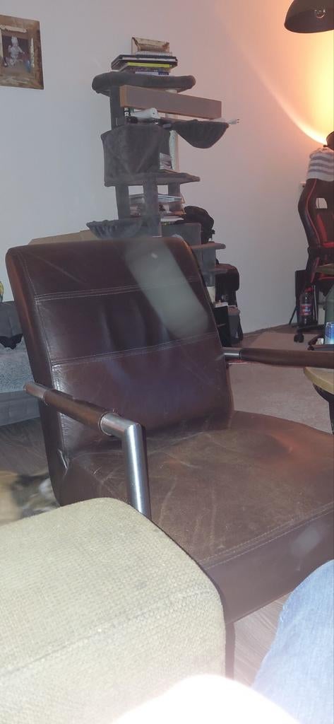 Mooie leren stoelen, Ophalen