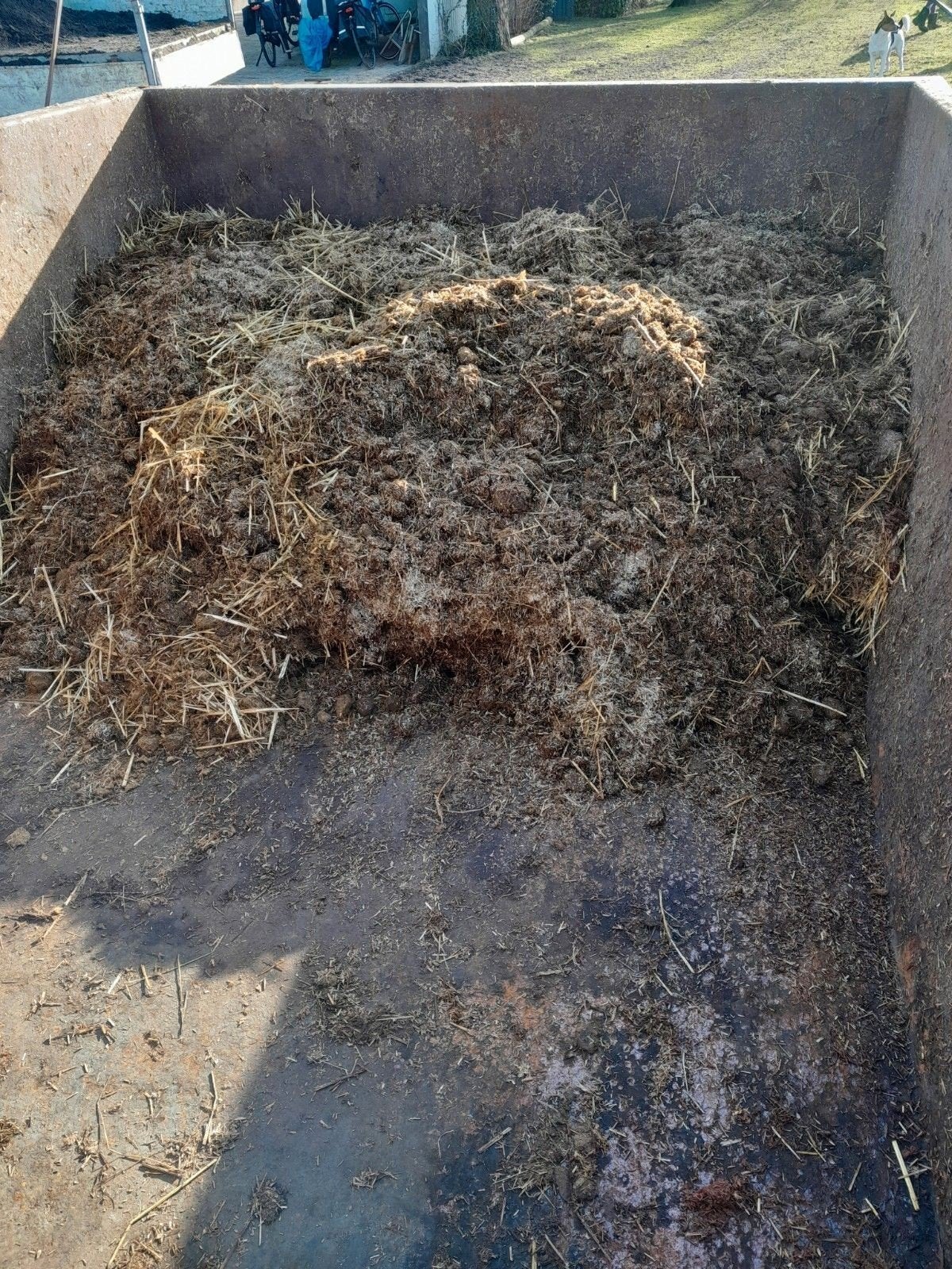 Verse paardenmest voor tuin of moestuin, Ophalen
