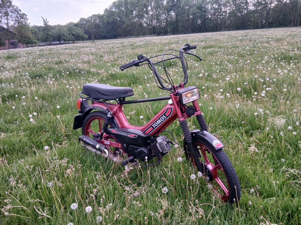 Tomos, Ophalen, Overige modellen